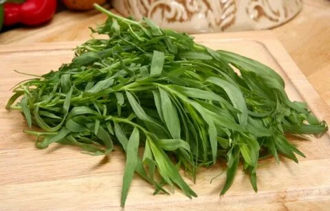 خرید آسان سبزی ترخون خشک + قیمت به صرفه